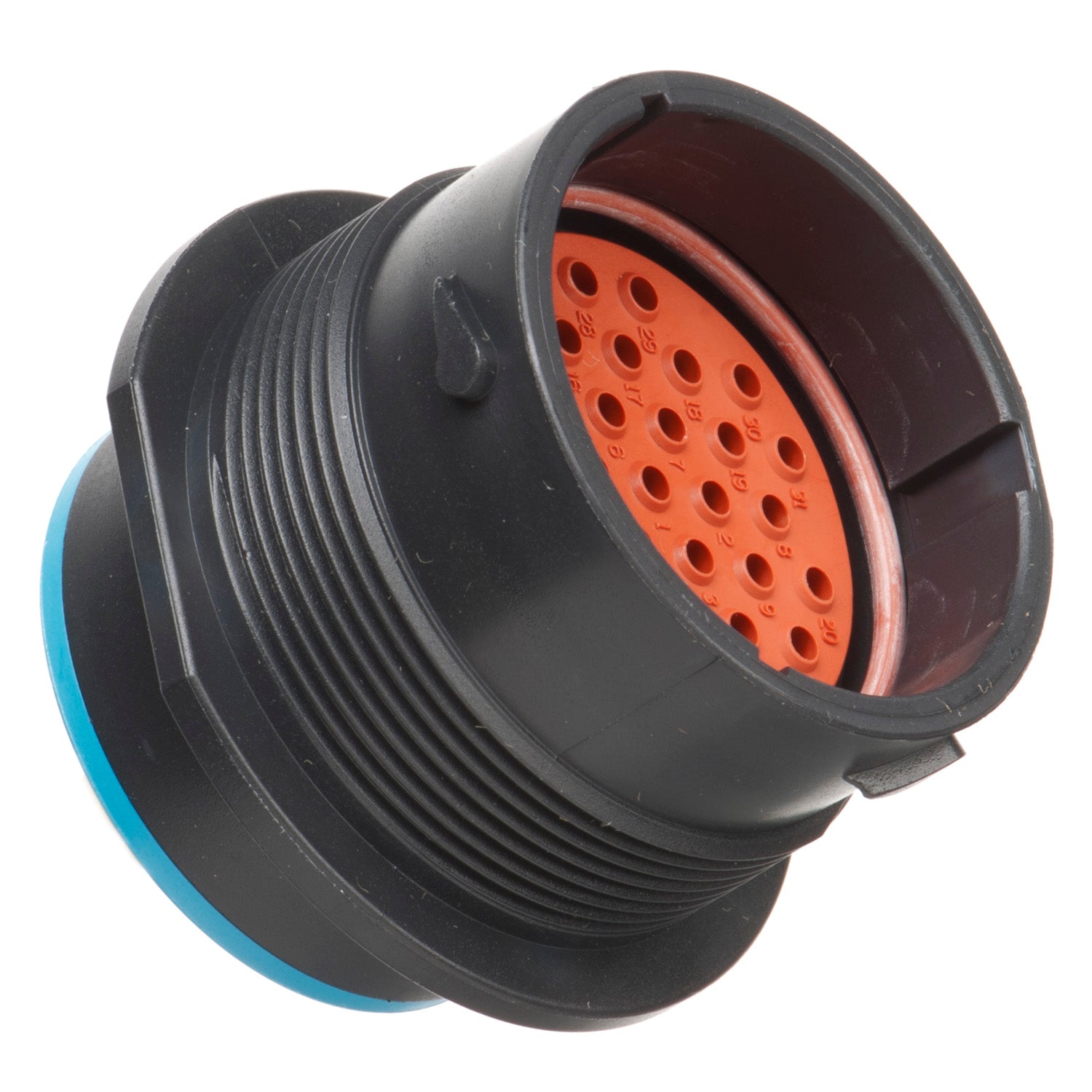 31 Ways Male and Female Kit